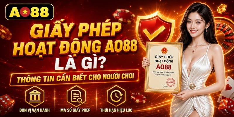Giấy phép hoạt động AO88 là gì